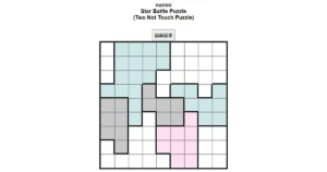 nanini Star Battle Puzzle (Two Not Touch Puzzle)_ver.11.0_中級170-Lv.10
