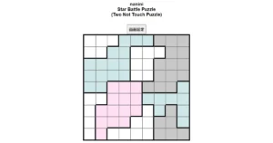 nanini Star Battle Puzzle (Two Not Touch Puzzle)_ver.11.0_中級169-Lv.9