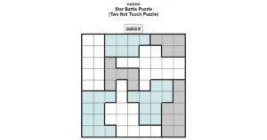 nanini Star Battle Puzzle (Two Not Touch Puzzle)_ver.11.0_中級171-Lv.12